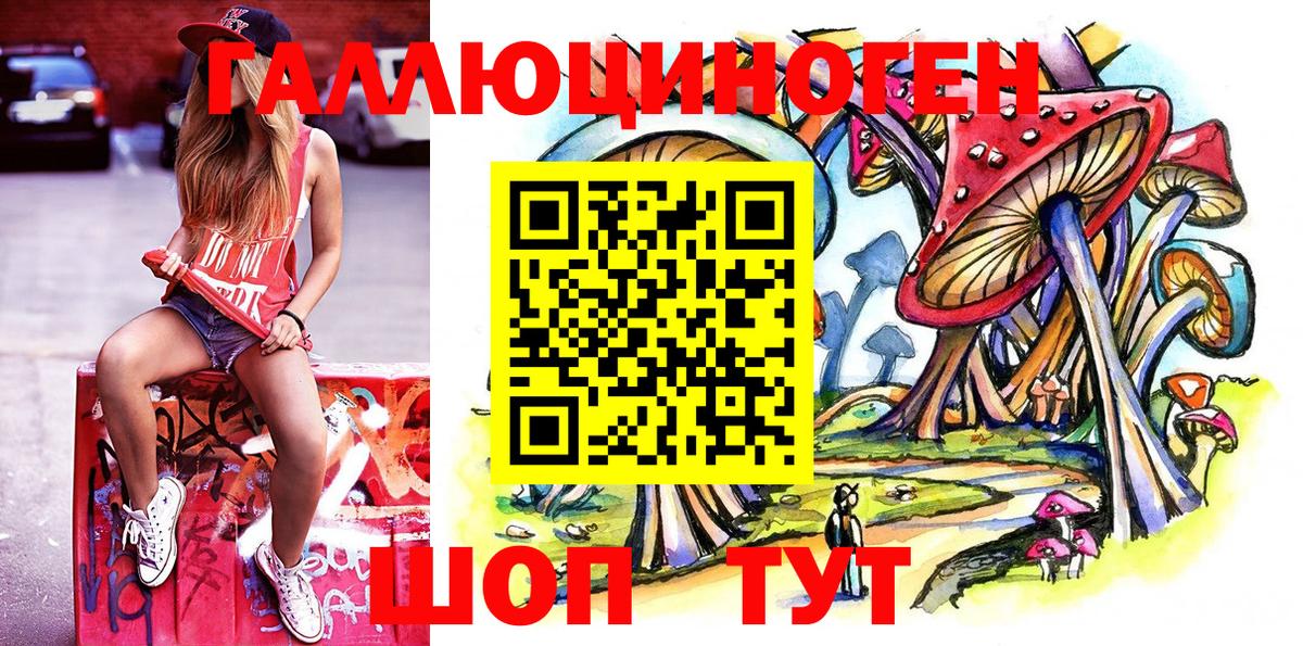 Галлюциногенные грибы GOLDEN TEACHER  Псилоцибиновые грибы Cubensis  Костомукша  Вход с VPN 